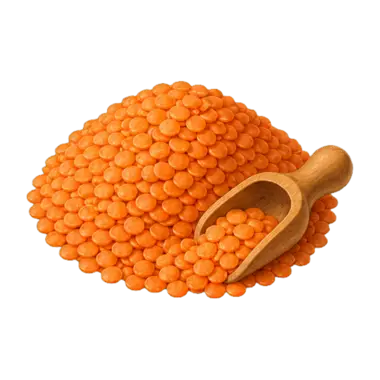 Balle anti-stress aux lentilles corail : une garniture orange vif qui craque sous la main