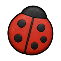 Coccinelles et tortues