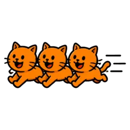 Chat à gogo
