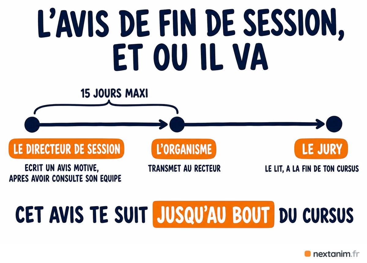 Le circuit de l'avis de fin de session BAFA : le directeur de session l'écrit, l'organisme le transmet au recteur sous quinze jours, et c'est le jury qui le lit à la fin du cursus