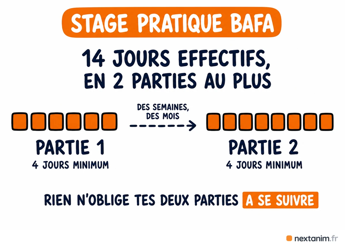 Les quatorze jours effectifs d'un stage pratique BAFA se découpent en deux parties au plus, d'au moins quatre jours chacune, et ces deux parties n'ont pas besoin d'être consécutives