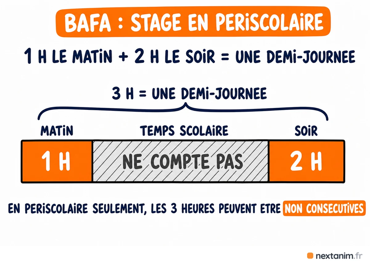 En accueil de loisirs périscolaire, les trois heures d'une demi-journée de stage pratique BAFA peuvent être non consécutives : une heure le matin et deux heures le soir font une demi-journée valable