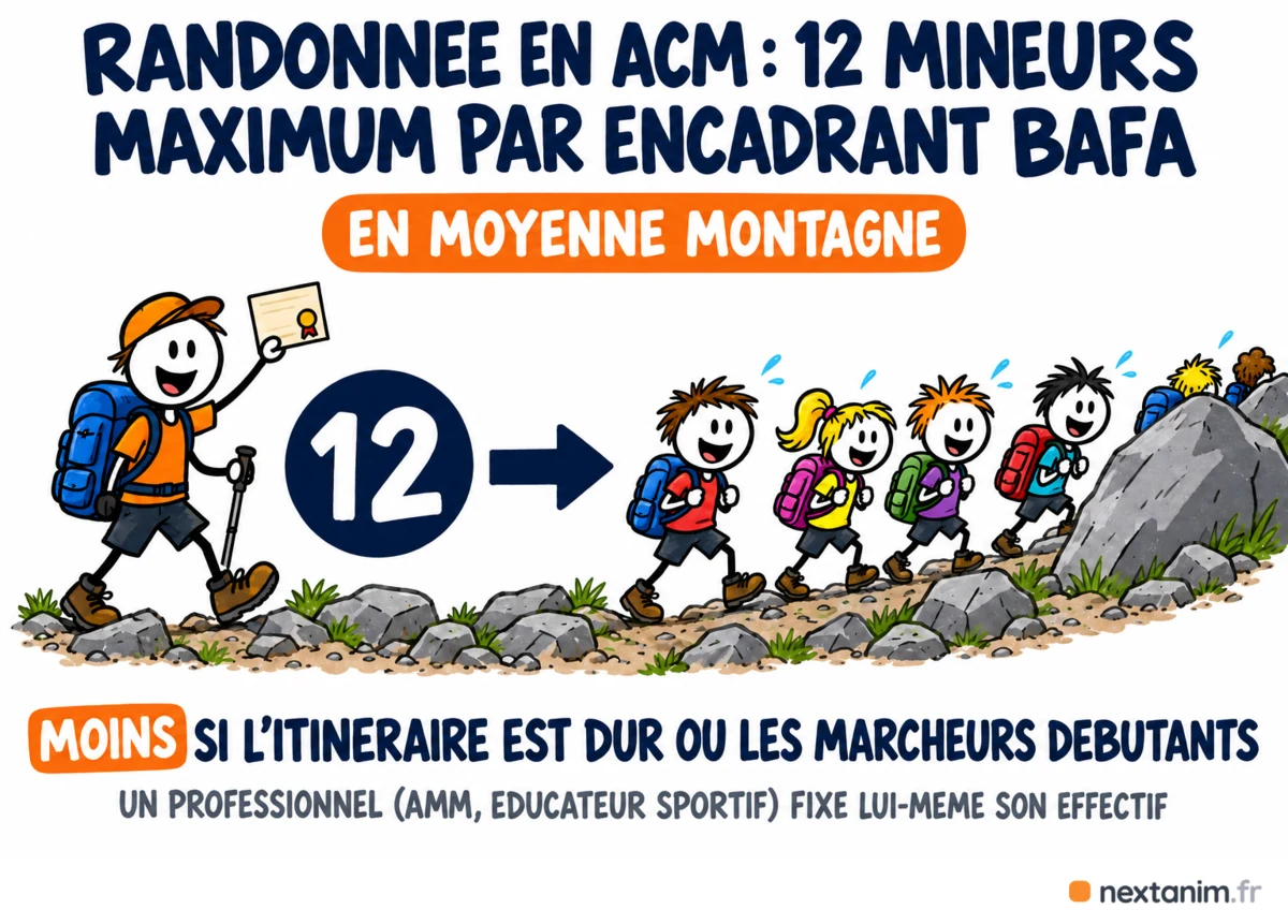 Taux d'encadrement d'une randonnée en ACM : douze mineurs au maximum par encadrant BAFA, moins si l'itinéraire est dur ou les marcheurs débutants ; un professionnel fixe lui-même son effectif