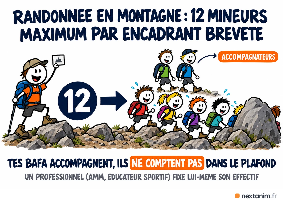 Randonnée en montagne en ACM : douze mineurs au maximum par encadrant titulaire du brevet fédéral, les animateurs BAFA accompagnent sans compter dans le plafond ; un professionnel fixe lui-même son effectif