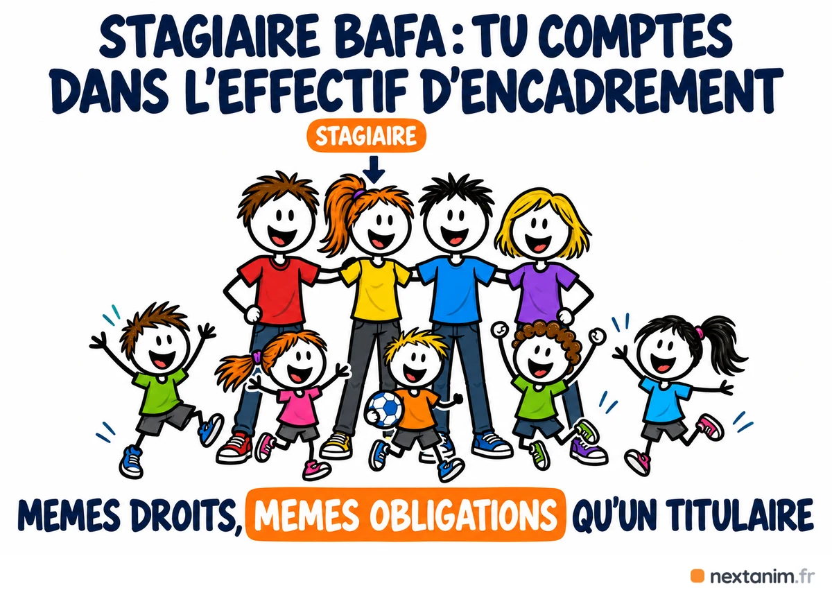 Un stagiaire BAFA compte dans l'effectif d'encadrement d'un accueil collectif de mineurs, avec les mêmes droits et les mêmes obligations qu'un animateur titulaire