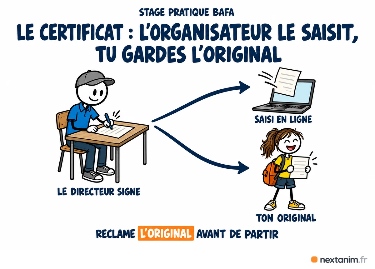 Le certificat de stage pratique BAFA : le directeur de l'accueil le remplit et le signe, l'organisateur le saisit en ligne, le stagiaire garde l'original signé