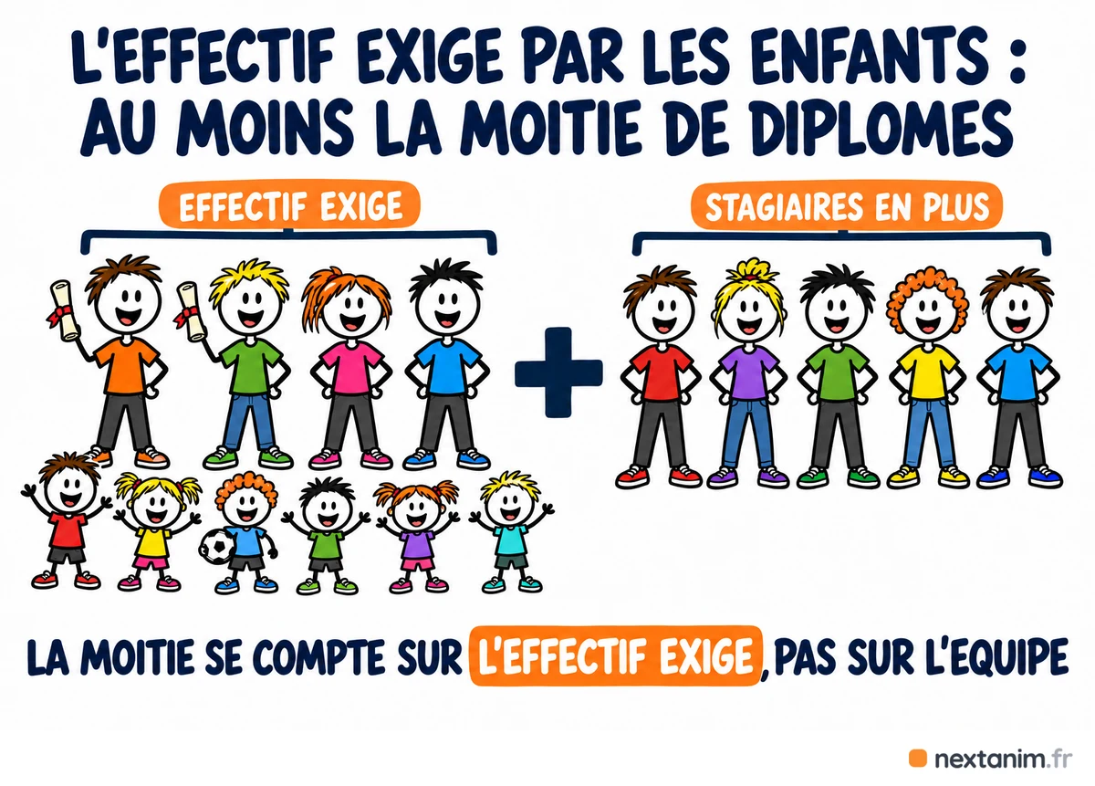Composition d'une équipe d'animation en accueil collectif de mineurs : au moins la moitié de diplômés et au plus 20 % de personnes sans qualification, calculés sur l'effectif exigé par le nombre d'enfants et non sur toute l'équipe, l'organisateur pouvant ajouter des stagiaires BAFA au-delà