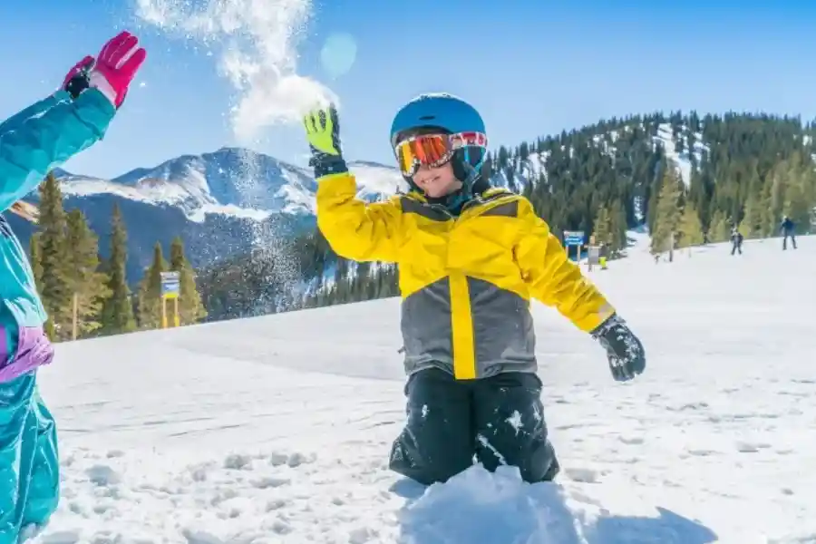 Description de l'image